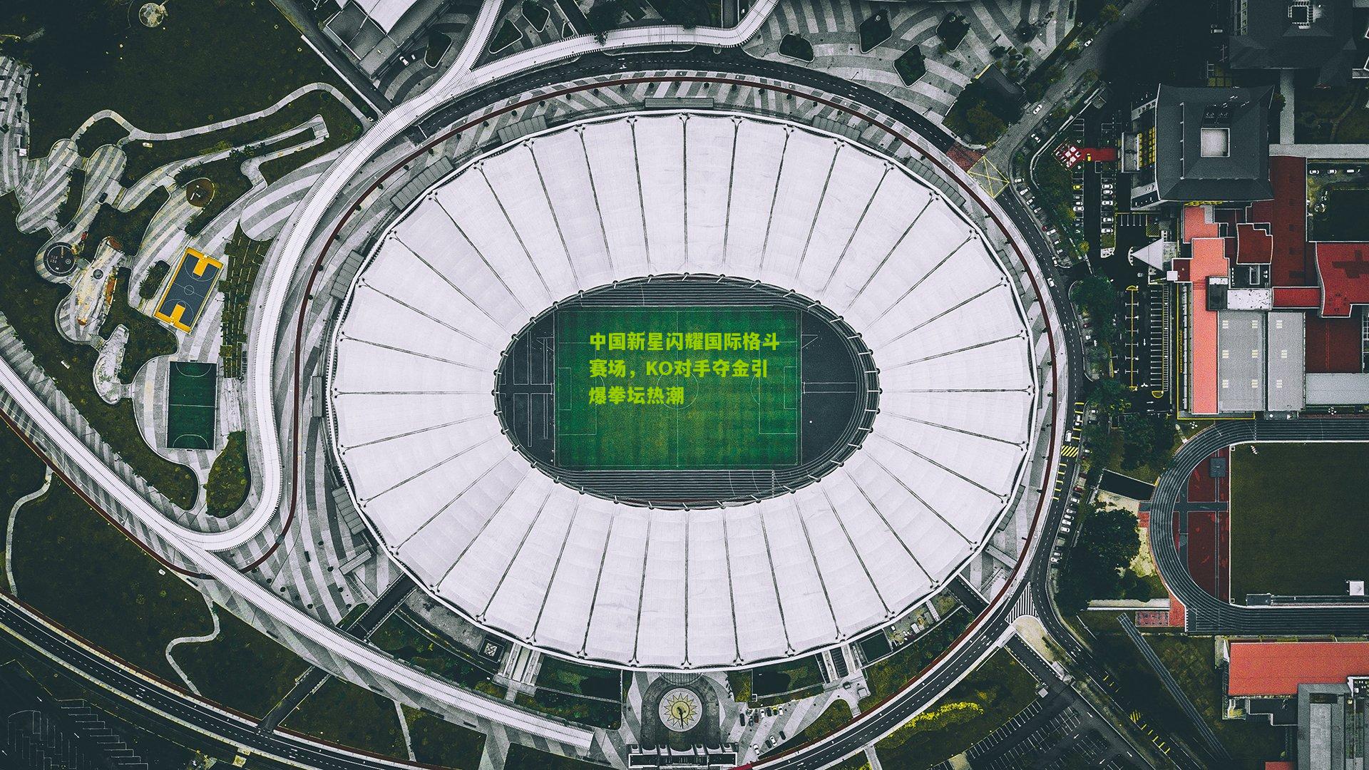 中国新星闪耀国际格斗赛场，KO对手夺金引爆拳坛热潮